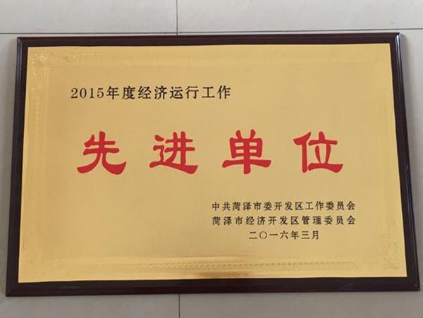 2015年度經濟運行工作先進單位